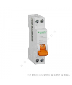 施耐德 空開 微段 IC65N 2P C32A A9F18232 斷路器/schneider全系列產品